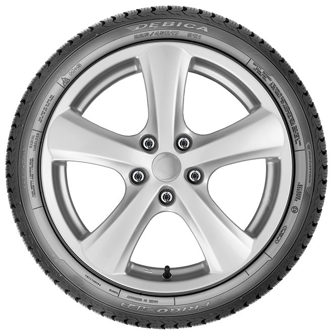 FRIGO HP 2 - Zimní Tire - 205/55/R16/91H